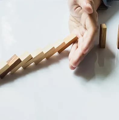 Risk Assessment & Mitigation