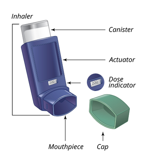 Albuterol sulfate inhaler from LUPIN