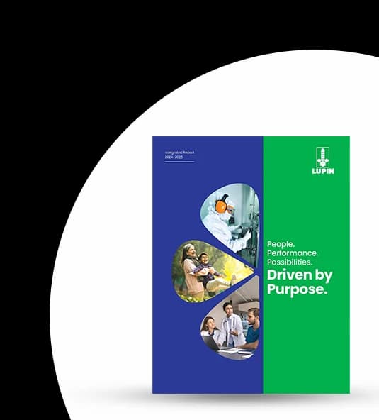 Integrated Report 2025