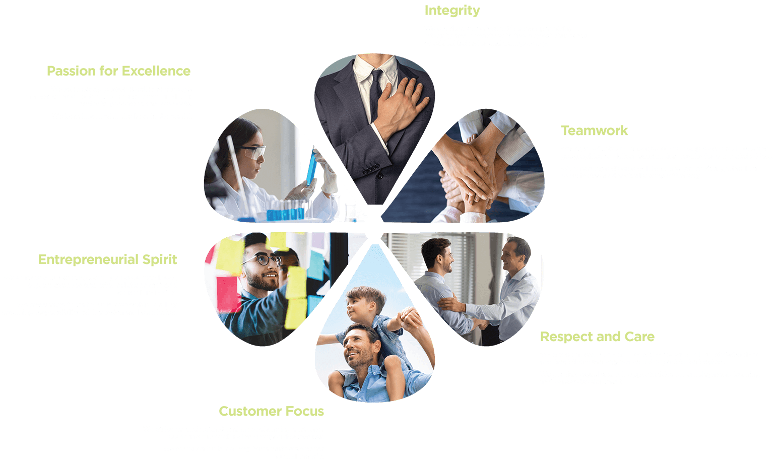 Our Values