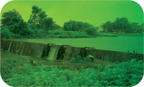 Natural Capital