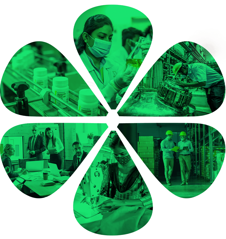 annual report