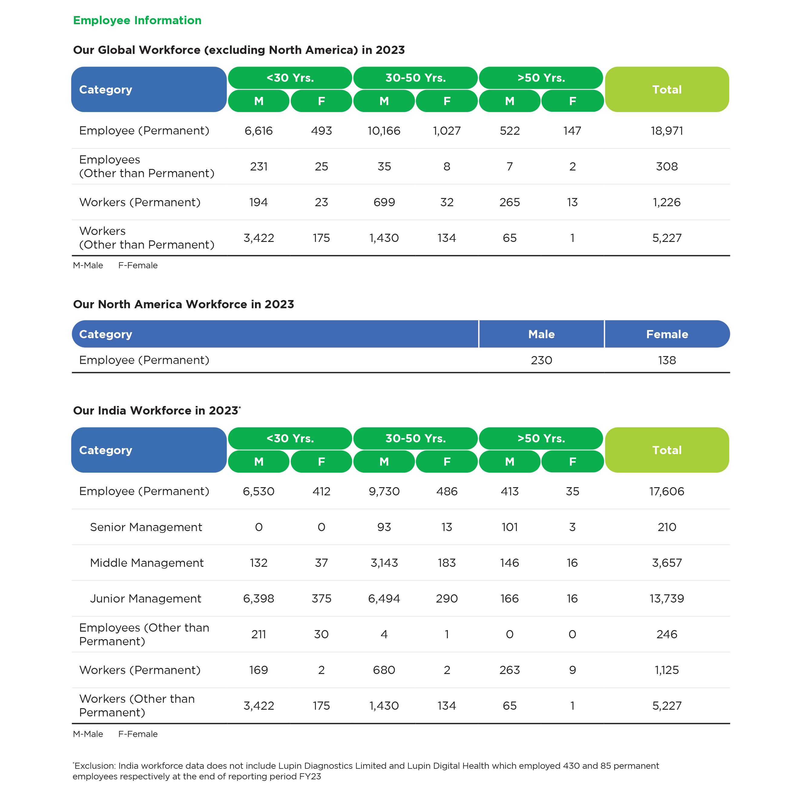 Our Global Workforce, Our North America Workforce, Our India Workforce