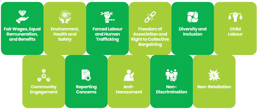human rights