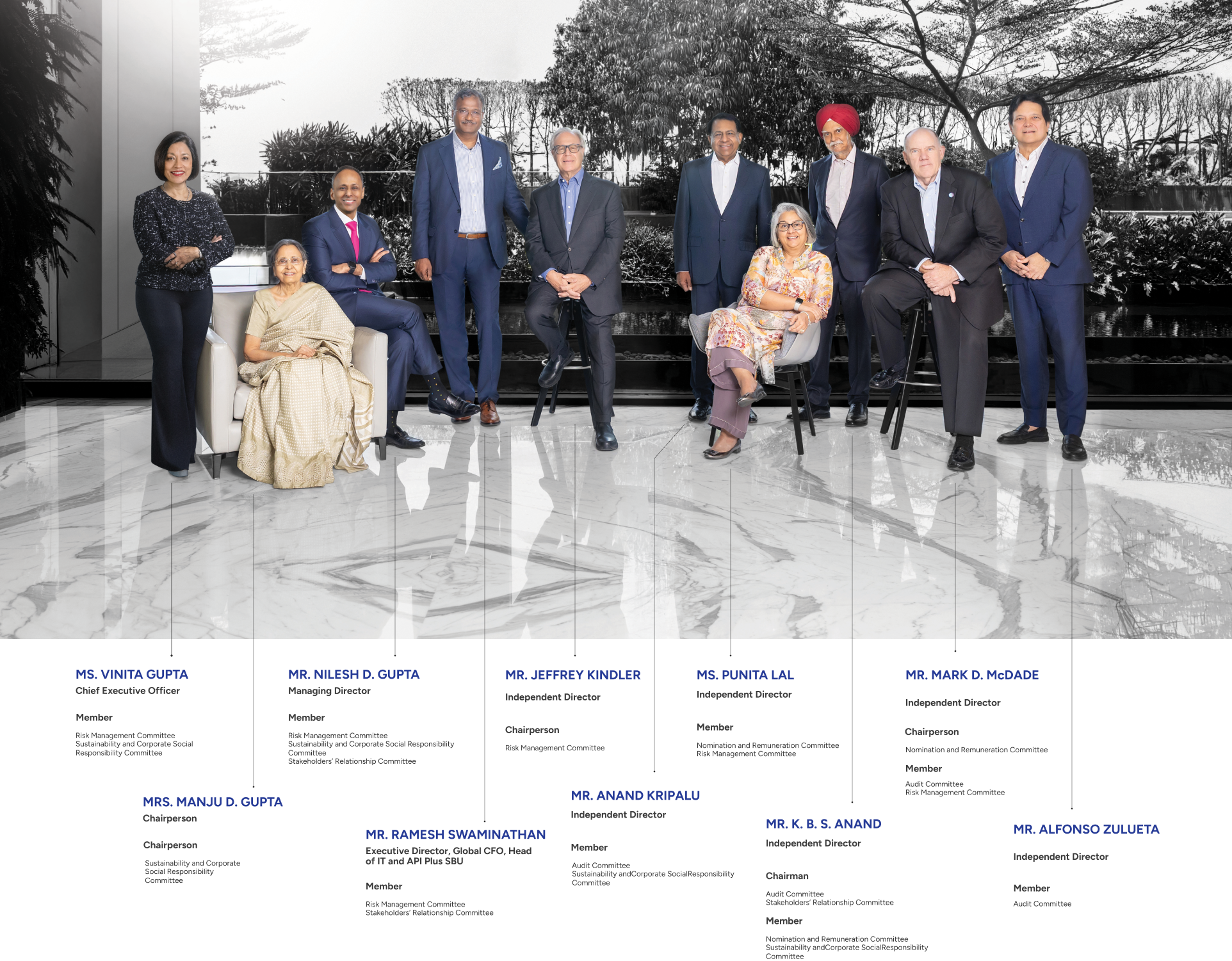 board of directors